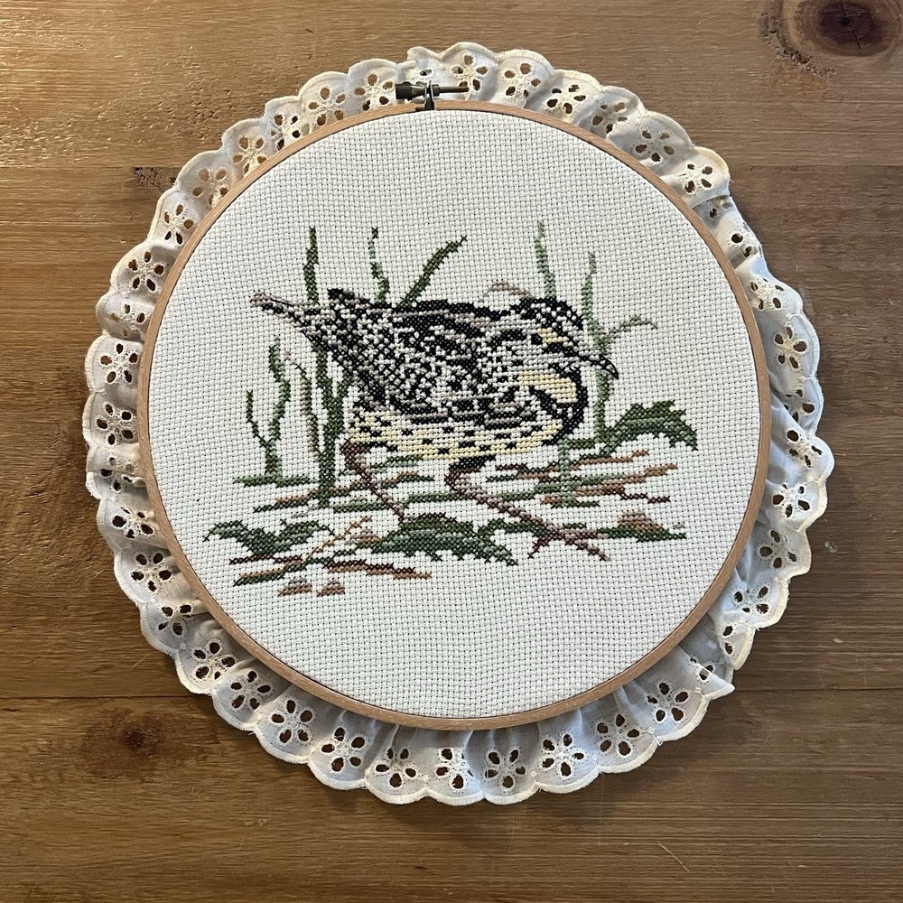 Vintage Cross Stitch Western Meadowlark Bird Hoop Lace Art Grandma Home Decor